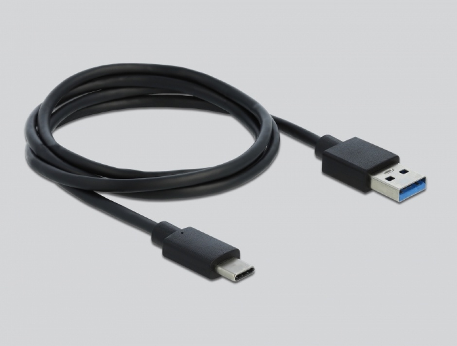 Imagine Rack extern USB-C 3.1 pentru 2.5" SATA HDD / SSD transparent, Delock 42621